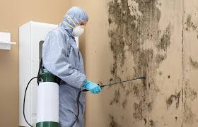 Best Industrial Mold Remediation in USA